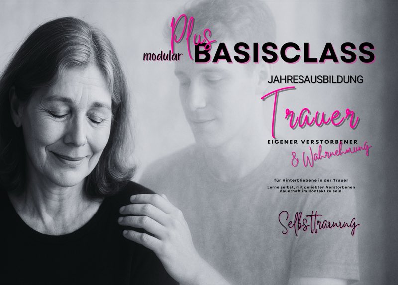 BasisClass Modular Plus